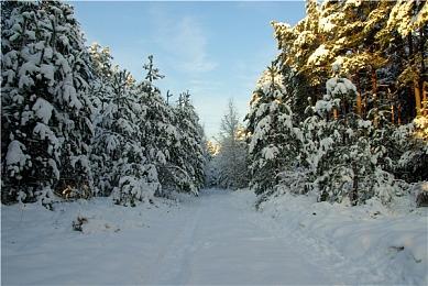 Team Ninja今年可能还会发布一款新游戏