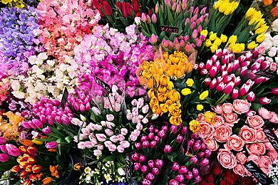 《CONVRGENCE》Steam抢先体验 VRFPS探索